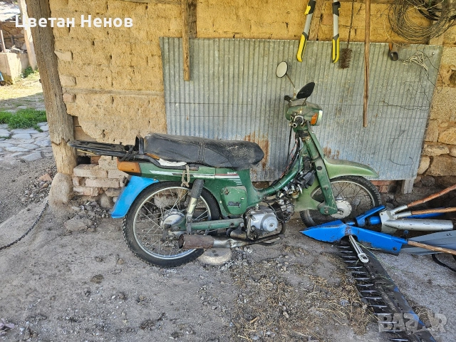 suzuki birdie fb 50