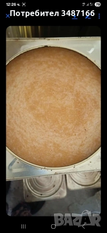 пчелен мед на едро, снимка 4 - Пчелни продукти - 53981931