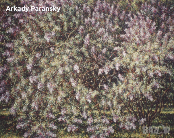 Люляков храст, огрян от слънцето