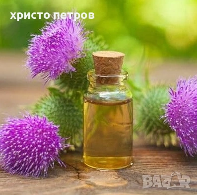 Натурално студено пресовано масло от от семена на Бял трън