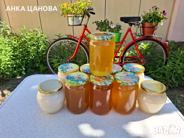 Пчелен мед реколта 2026, снимка 4 - Пчелни продукти - 54731573