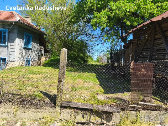 Продавам къща и двор с изглед към р. Дунав, снимка 5 - Къщи - 55469993