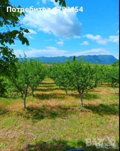 парцел , градина