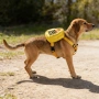 Раница за кучета Reactive, чанта за пътуване (DOG REACTIVE), снимка 5