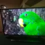32" смарт телевизор LG, снимка 3