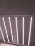 VXLED 660 PRO  led grow light, снимка 3