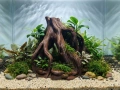 Декорации за Аквариум, снимка 3