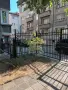 Фикус Бенджамин, снимка 3