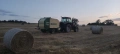 Бали планинско ливадно сено, снимка 2