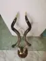 Естествени рога за украса на механа, снимка 2