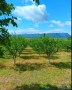 парцел , градина, снимка 1