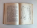 Стратиграфия на България (1968) – Колектив, снимка 4