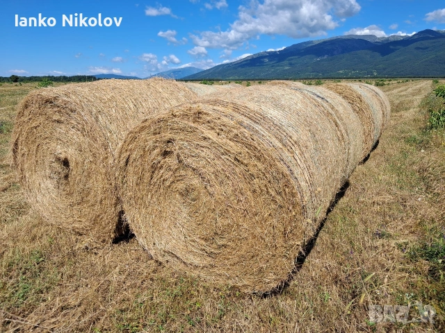 Бали сено 1.20х1.20 