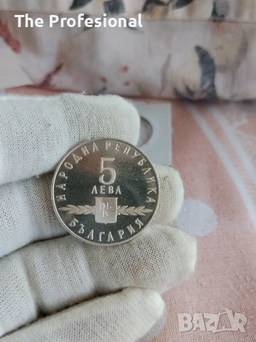 Две Петолевки., снимка 7 - Нумизматика и бонистика - 55086950