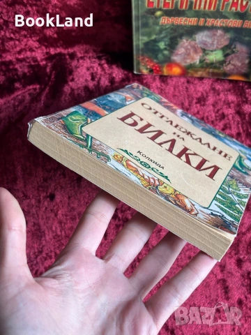 Отглеждане на билки| Колхида, снимка 7 - Други - 54367985