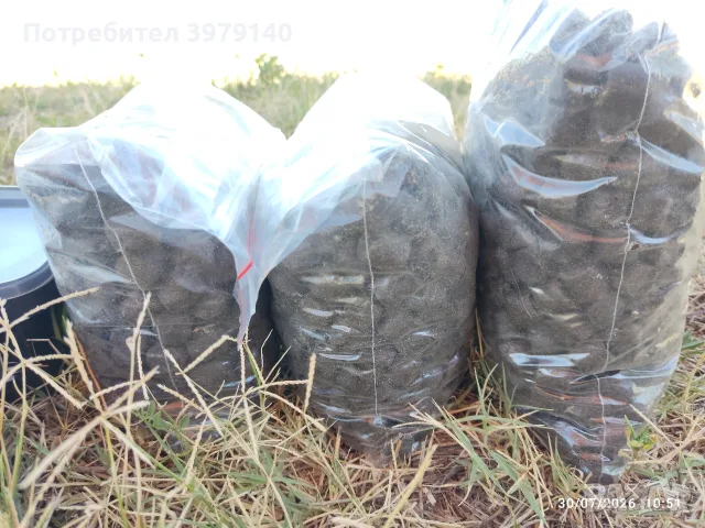 Пелети риболов шаран, снимка 3 - Стръв и захранки - 55472243