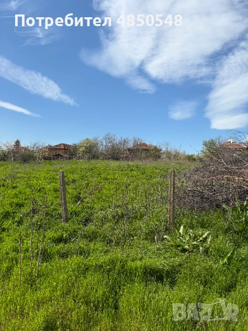 парцел в село Кутово, Видинско, снимка 6 - Парцели - 54818352