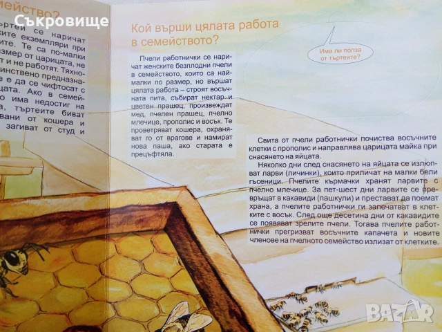 Детска картонена книжка с капачета голям формат Пчелите Загадките на природата, снимка 7 - Детски книжки - 43302877