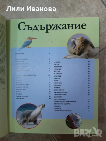 Голяма енциклопедия на ЖИВОТНИТЕ- ПАН, снимка 2 - Детски книжки - 55524033