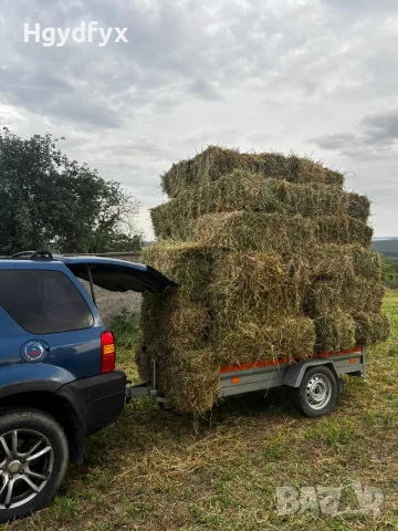 Продавам Балли Чиста Люцерна 