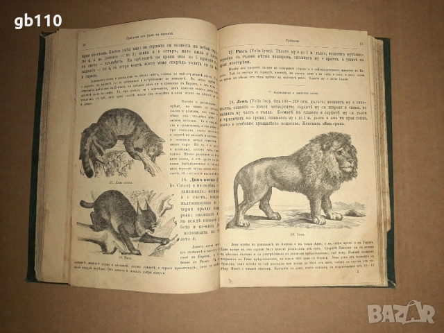 Стари/антикварни книги, снимка 14 - Други - 54454602