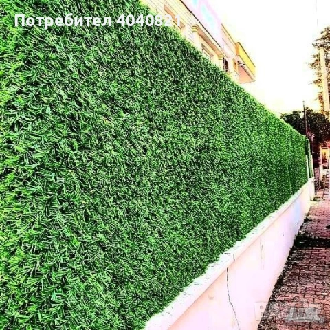Мрежа "Жив Плет"