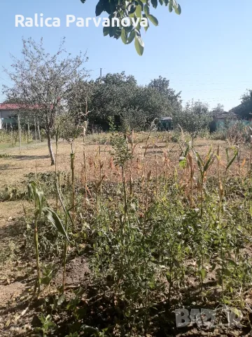 Продавам къща в село Бреница , снимка 4 - Къщи - 55644637