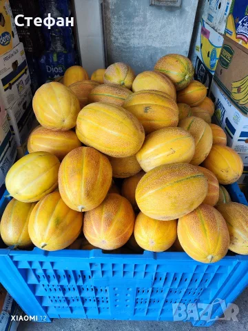 Продавам Дини и Пъпеши на Едро!, снимка 3 - Други - 55419106