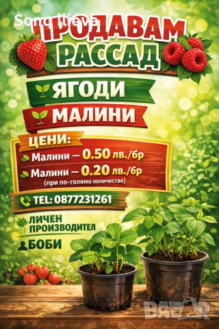 Продавам ягоди и малини