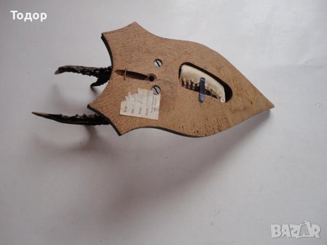 Ловен трофей рог рога 10, снимка 7 - Ловно оръжие - 54087211