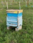 Пчелни кошери , снимка 4