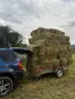 Продавам Балли Чиста Люцерна , снимка 1