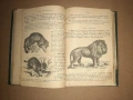 Стари/антикварни книги, снимка 14
