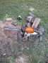 Професионално почистване на дворове и градини в Габрово и района - STIHL, снимка 3
