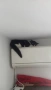 Травмирана котка остава на улицата, снимка 14