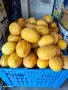 Продавам Дини и Пъпеши на Едро!, снимка 3