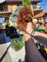 Пудел Той/Poodle Toy, снимка 1