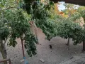 Казан за ракия комплект, снимка 11