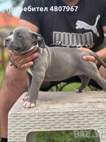 Американско були Хл, снимка 6 - Други - 54314440