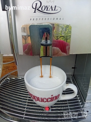 Saeco Royal Professional, снимка 17 - Кафемашини - 46686242
