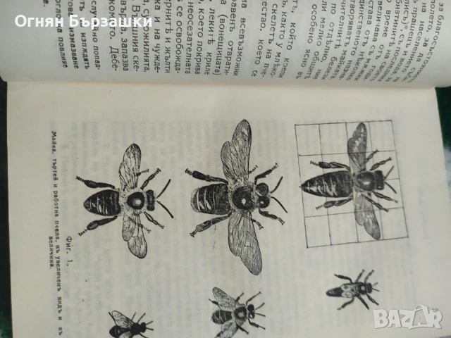 продавам запазени книги състояние видно , снимка 3 - Специализирана литература - 55222074