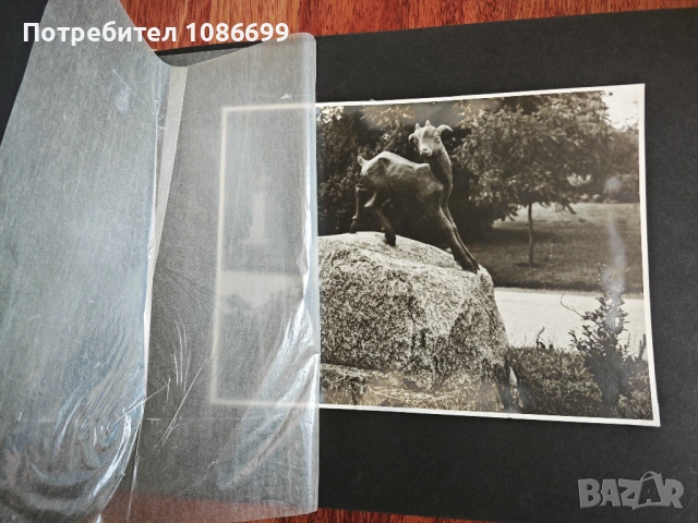 Албум Скулптурната украса на София Ив. Иванов, снимка 4 - Колекции - 54188696