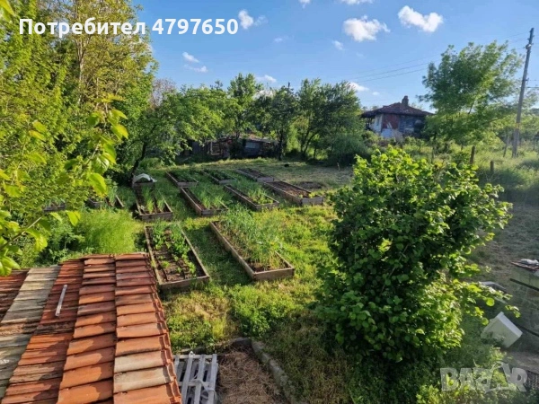 Къща в с. Драчево с двор – 850 кв.м, снимка 6 - Къщи - 54678295