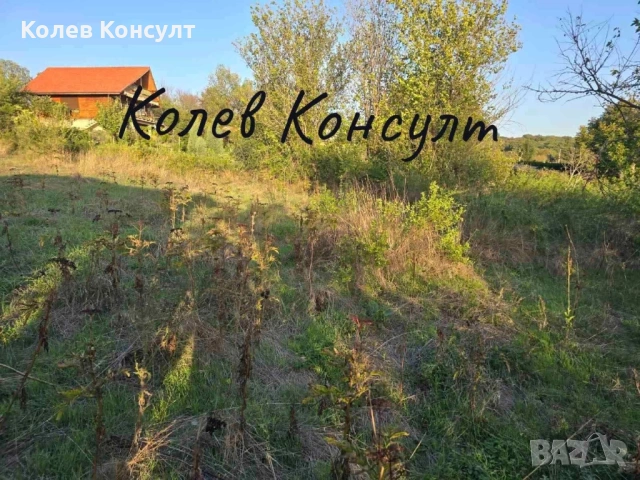 Къща село Райново, снимка 4 - Къщи - 54709639