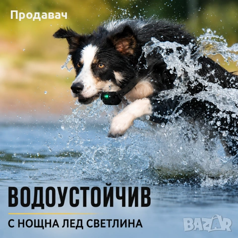 Електронни налийници за кучета, снимка 5 - За кучета - 55212708
