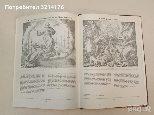 Илюстрирана Библия. 240 гравюри на дърво от Юлиус Шнор фон Каролсфелд - Юлиус Шнор фон Каролсфелд , снимка 8 - Специализирана литература - 55277163
