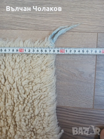 Продавам китеници с къс косъм, снимка 5 - Други - 55257750