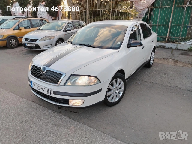 Skoda Octavia 1.9 TDI 105 кс 2005 гд, снимка 5 - Автомобили и джипове - 54365041
