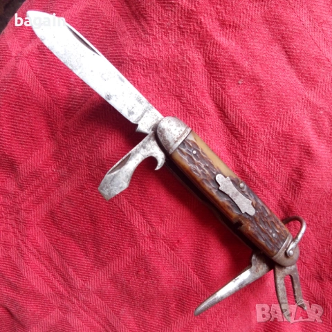 Камилус. 19-ти век.