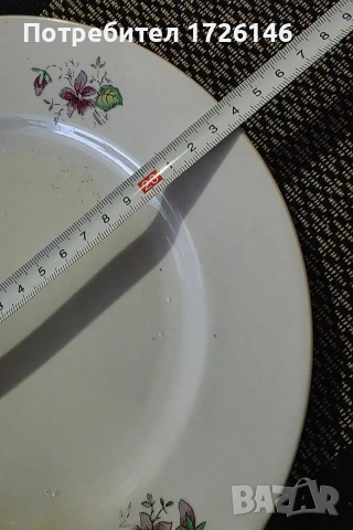 Порцеланова чиния на Дянко Стефанов , снимка 5 - Чинии - 54351872